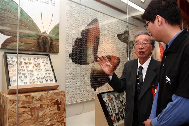 78岁的退休教授八田耕吉（左）于2012年间，向参观者介绍他採集的蝴蝶。（兴大提供／林欣仪台中传真）