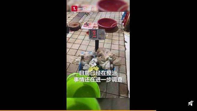 隨後貓屍被丟到籃子裡秤重，秤完就拿出去拔毛。（圖／擷取自微博）