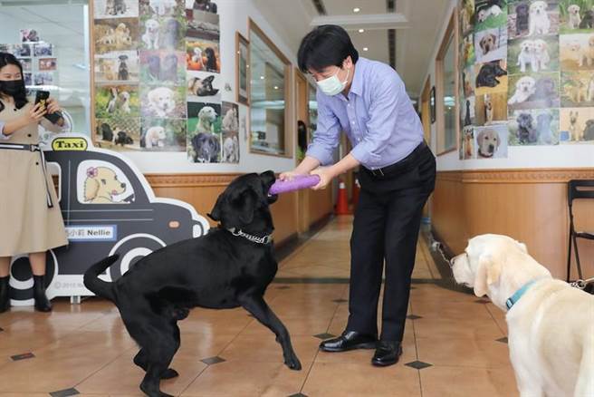 赖清德：台湾约6万名视障者，仅有40多只导盲犬。总统府提供