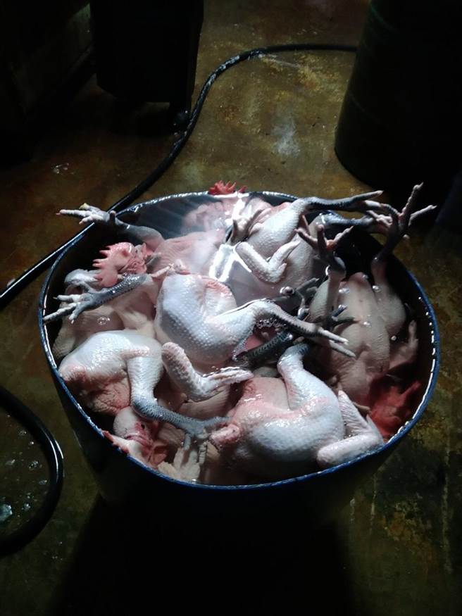 台南市農業局會同相關局處查緝違法屠宰，6日凌晨在後壁區及東山區各查獲1起違法屠宰家禽案件。（台南市農業局提供／劉秀芬台南傳真）