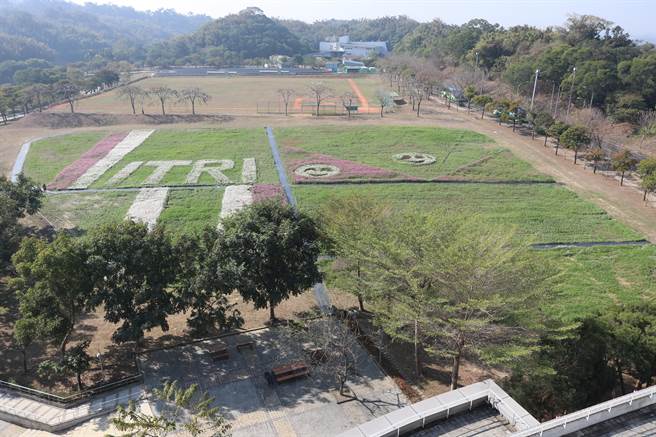 台南六甲赏花秘境，工研院南分院花海盛开。（工研院提供／刘秀芬台南传真）