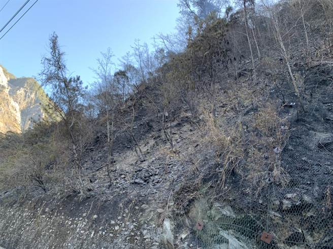 中橫便道19.3K發生森林火災，一夜燒光0.7公頃。（東勢林管處提供／王文吉台中傳真）