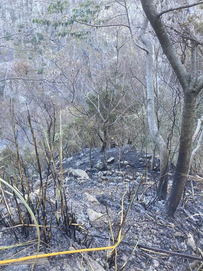 中橫便道19.3K發生森林火災，一夜燒光0.7公頃。（東勢林管處提供／王文吉台中傳真）