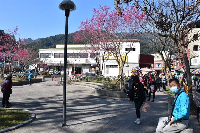 苗栗县政府打造十三间街区漫慢游，吸引民眾利用春节连假来南庄聊。（谢明俊摄）