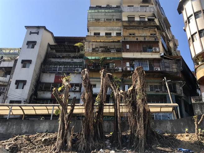 基隆市信義區親子館日前開工，有里民不斷反應，一旁齡逾50年老榕樹的氣根侵害住宅地基，也擔心影響親子館工程。（陳彩玲攝）