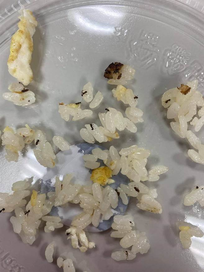 外送炒飯加料黑色小點 一看竟長腳 險吃下肚：想騙我是黑胡椒（翻攝爆料公社）