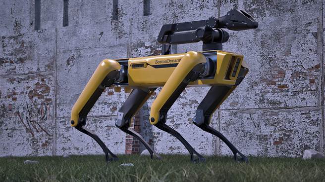 美国机器人开发公司「波士顿动力（Boston Dynamics）」近日推出机器狗「Spot」的最新版本。(图／达志影像)