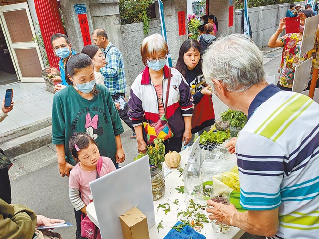 新北市淡水忠寮社區透過綠電魚菜共生，打造永續社區。（新北市農業局提供／葉德正新北傳真）