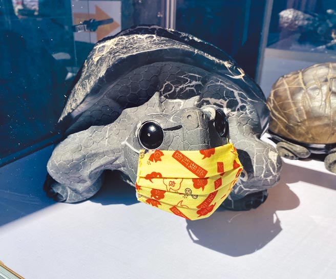 日月潭文武庙12日大年初一起，展出独树一格的「平安龟暨原石文创联展」，各雕刻名家发挥创意，打造可爱又福气的石龟作品。（黄立杰摄）