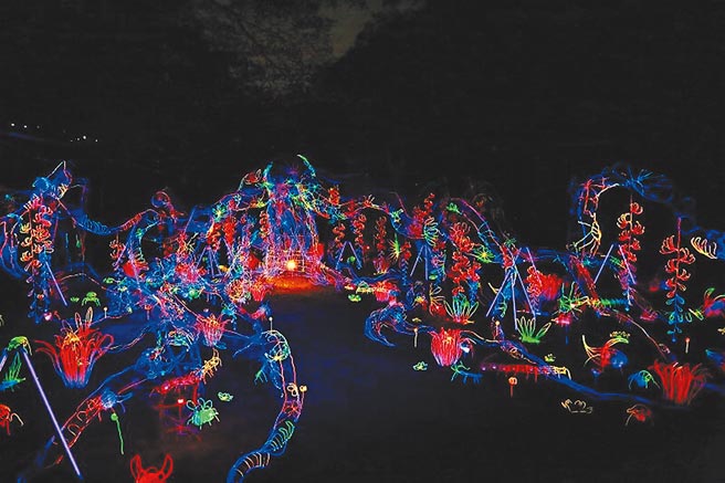 空山祭《流光樹林：團聚》以螢光絢麗的流光樹組合成巨大的光之森林，在故事中成功召喚大蛇「返鄉」。（臺南市政府提供）