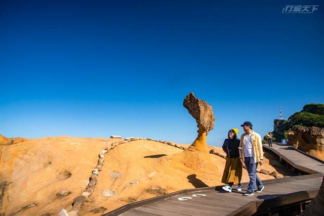 已經被圈起來不能靠近的女王頭，脖子真的已經變得極細。(圖／行遍天下提供)