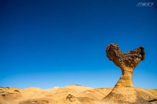 外國部落客因為來到野柳，意外發現這處「秘境奇岩」，只有某個角度才會發現。(圖／行遍天下提供)