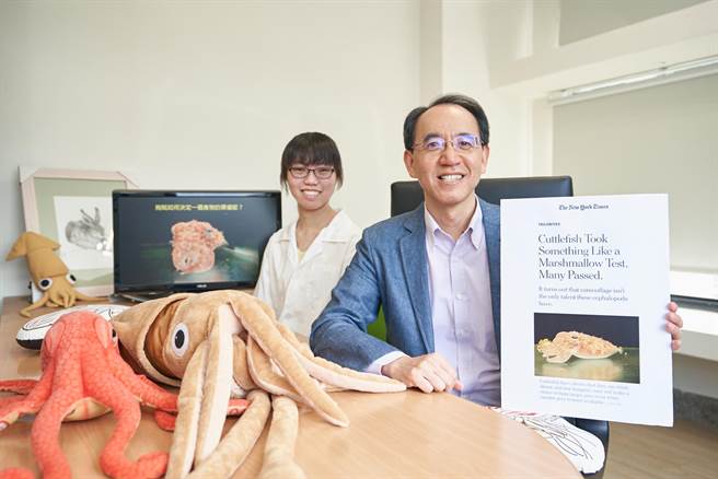 清华大学生命科学系教授焦传金研究团队发现，乌贼的决策行为不全是理性判断，而受到食欲及经验影响，这项研究成果最近更登上纽约时报等报章与期刊。（清华大学提供／陈育贤新竹传真）
