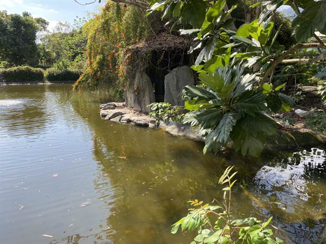 花蓮玉里鎮一名1歲半的男童今午不慎掉入自家池塘，被拉起後，隔壁護理師趕緊實施CPR，所幸恢復心跳脈搏且對痛有反應，目前已送往醫院治療。（民眾提供／羅亦晽花蓮傳真）