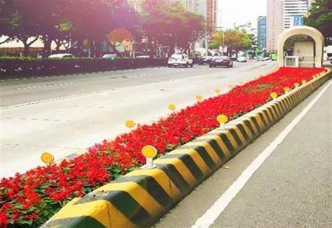 台湾大道出现花团锦簇都市美景。（卢金足摄）