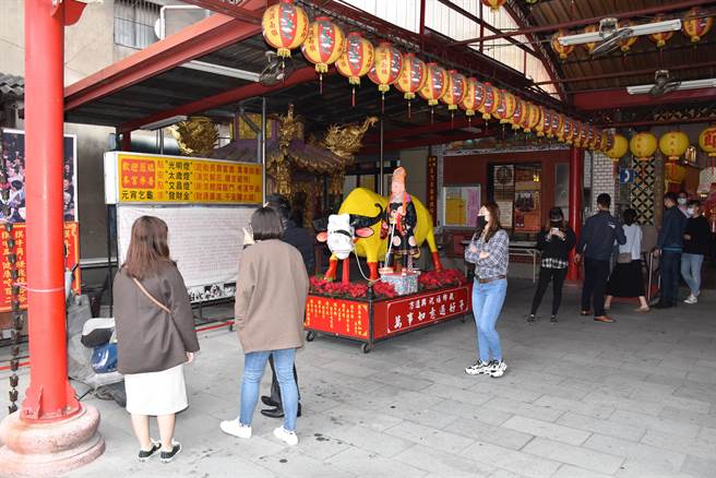 竹南镇保民宫与竹南镇公所合办摸春牛活动。（谢明俊摄）