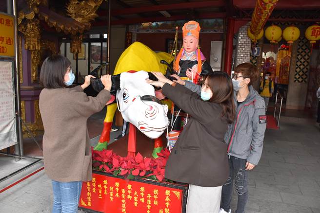 摸春牛不同部位可带来不同的运气。（谢明俊摄）