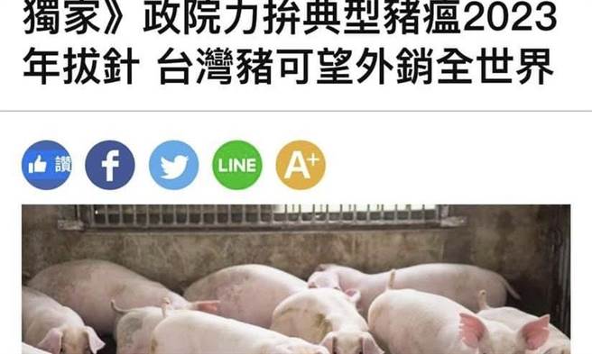 Lin Bay好油》台湾猪重返国际大门 到底能不能做到？图／作者脸书截图。