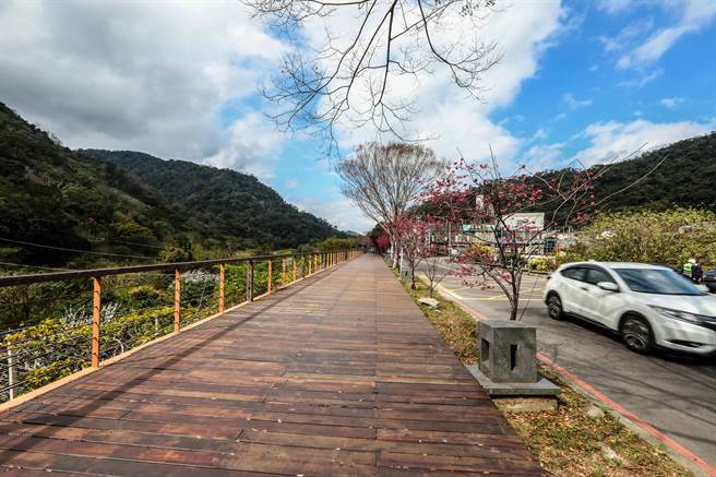 沿油罗溪的堤顶步道，将待春节过后修缮。（罗浚滨摄）