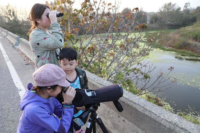 鳌鼓溼地有森林、农地、湖泊、沙洲、草泽等多样自然环境，候鸟季有不少游客特地前来赏鸟。（吕妍庭摄）