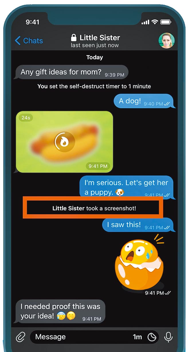 Telegram可进行加密对话、预设发送讯息时间及截图通知等功能。（摘自APP Store）