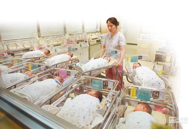 图为医院婴儿室。（本报资料照片）