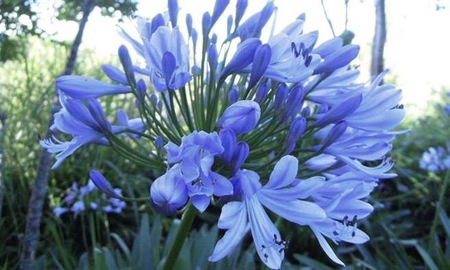 李利国》人总是只看见爱情渴望的幻影。图／李利国提供