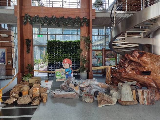 保七总队查扣扁柏树瘤、扁柏角材、肖楠、红豆杉、红桧及艺品等珍贵木料。（保七总队提供）