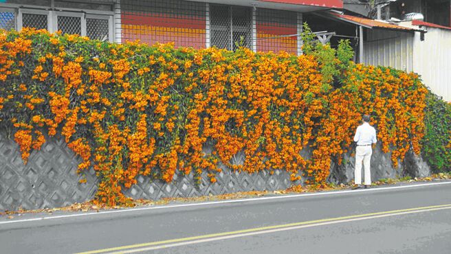 2016年12月22日摄于雾社水库旁。（作者提供）