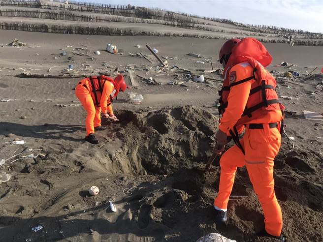 瓶鼻海豚被發現陳屍外埔漁港，身軀已嚴重腐敗，海巡人員獲報協助處理並就地掩埋。（第三岸巡隊提供／何冠嫻苗栗傳真）