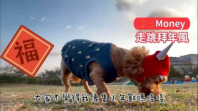 国民党青年部公布「毛小孩Happy牛Year」宠物云影片。(摘自国民党青年部影片)