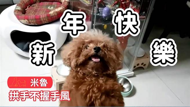 国民党青年部公布「毛小孩Happy牛Year」宠物云影片。(摘自国民党青年部影片)