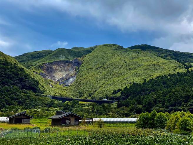 走春出游首选！北市三大休閒农业区 邀您品茗、赏樱、吃美食。（北市产业局提供／吴康玮台北传真）