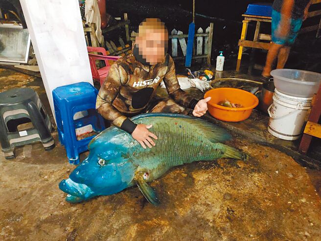 蘭嶼珍稀龍王鯛遭獵殺，涉案人將合照貼上群組，還比出讚的手勢。（民眾提供／莊哲權台東傳真）