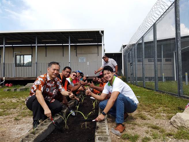 在诺鲁唯一监狱农畜场，受刑人在台湾技术团指导下喂猪、种菜，团长李宜龙（前排右1）说，相关技术有助受刑人儘早重返社会。（图／中央社）