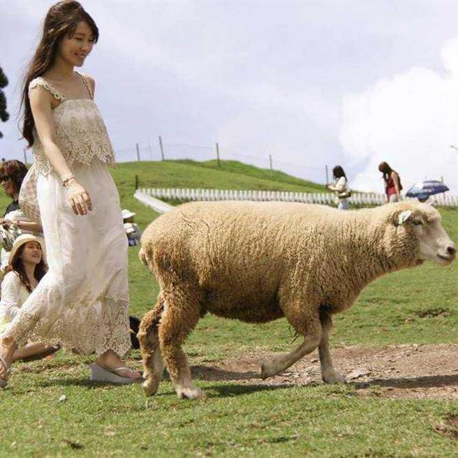 曹女臉書上曬滿各種戶外旅遊的玩樂照。（圖／翻攝曹女臉書）