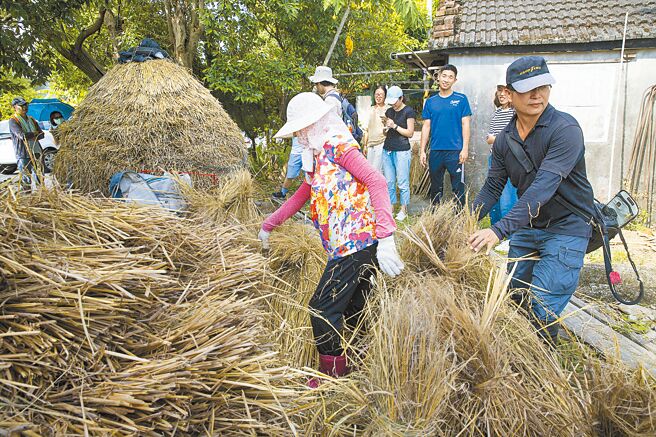 專門轉介深溝農地給新農民的「倆佰甲」負責人曾文昌（右）正協助老農婦堆疊稻草，疊稻草堆需有很好技巧，通常由有經驗的農婦負責，這也體現深溝小農的專業分工。