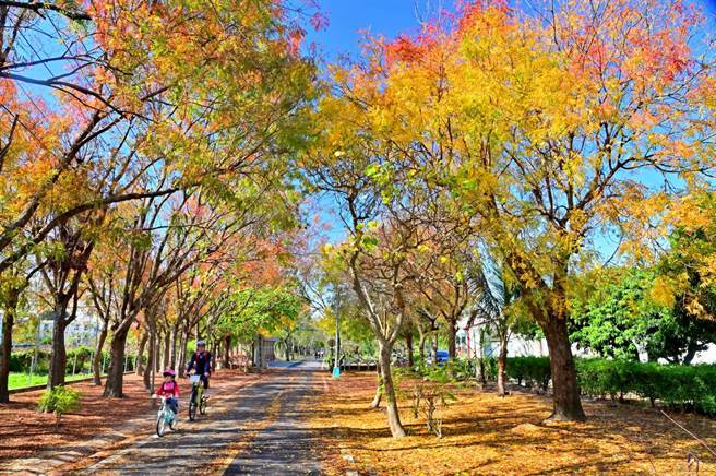 春节何处去？到东丰自行车绿廊骑脚踏车走春又健身。（台中市府提供／卢金足台中传真）