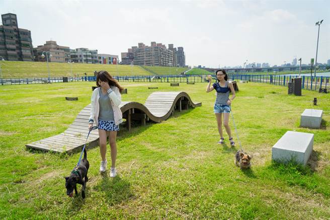 春节假期大致进行到了一半，气象局表示，随着这波东北季风减缓，水气减少后，到初五（16日）之前天气还算稳定。图为宠物公园。（新北市动保处提供）