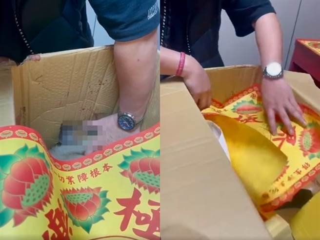 輾狗男親自到小黑靈堂下跪道歉後，小黑也總算闔眼，預計年後將火化。（圖／翻攝自邵柏虎臉書）