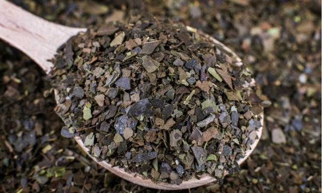 有助提神、抗氧化「亚马逊苦丁茶」将登台　食药署：3族群避免饮用。(示意图/Shutterstock)