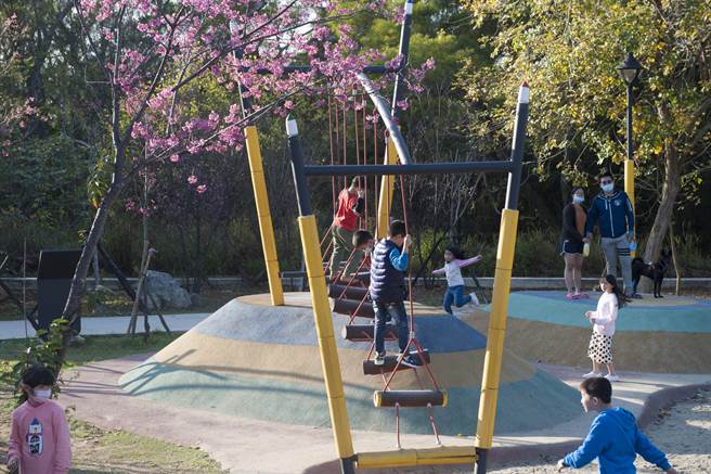 大甲铁砧山春节连假游客如织，每日涌入上万游客上山赏樱游憩。（王文吉摄）