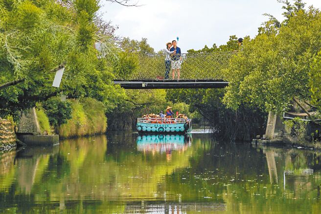 台江國家公園孕育大量紅樹林，除可發展娛樂型船筏，帶動觀光產業，這些紅樹林更是螃蟹們的天堂，不少稀有種螃蟹都曾現蹤此處，成為賞蟹好去處。（南市府觀旅局提供／李宜杰台南傳真）
