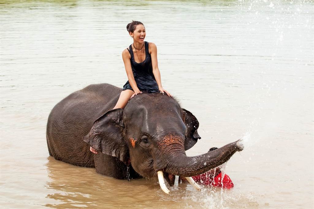 前世界冠军、俄罗斯网球传奇球星卡费尼可夫（Yevgeny Kafelnikov）的22岁爱女阿莱西亚（Alesya Kafelnikova）13日公开一段自己全裸、骑在濒危大象背上的影片，画面公布后被网友痛骂没有考量到大象的权益。图为示意图，非当事人。（示意图／shutterstock）(photo:ChinaTimes)