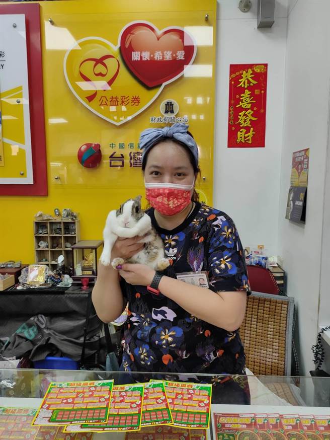 刮出头奖的当天，「 博赢乐透彩券行」收养的这只兔子逃脱出笼子，似乎是预先报喜。（博赢乐透彩券行提供／冯惠宜台中传真）