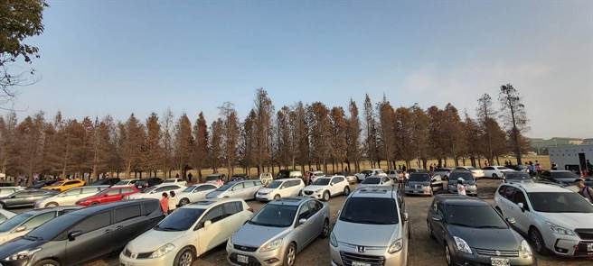 不受疫情影响，农历春节间照常举行的落羽松季活动，吸引爆量人潮，预计2月底结束时游客人次可突破30万，比去年翻倍成长。（台南市六甲区公所提供／庄曜聪台南传真）