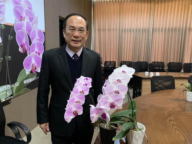 國立中興大學生物科技學研究所講座教授楊長賢率領的團隊，針對蘭花花形研究找出的「花被密碼」進一步研究，發現其還可調控花朵顏色與花期長短。（林欣儀攝）