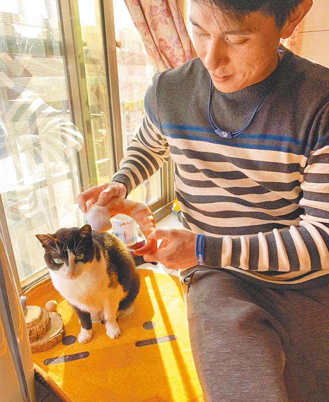 味全龙球星吴东融家中养2只猫，黑白纹的妞妞牙齿掉光，需要更多的爱来照顾。（吴东融提供）