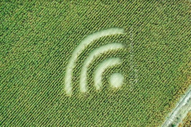 嘉义出现神秘「WiFi麦田圈」，引发网友热议。（图／允翔影像工作室负责人柯发寿授权提供）
