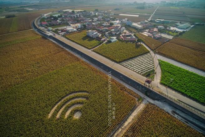 嘉义「WiFi麦田圈」引热议，由允翔影像工作室负责人柯发寿日前用空拍机所拍下。（图／柯发寿授权提供）
